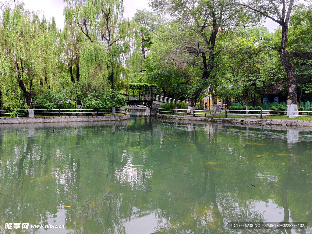 寧靜湖畔綠樹環(huán)繞美景