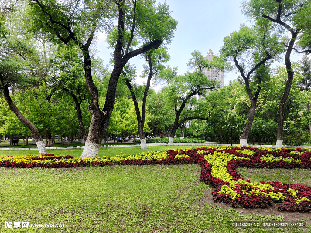 公園美麗花壇與蔥郁樹木