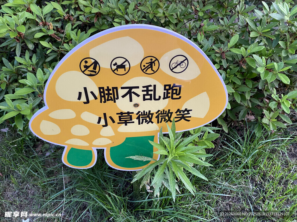 小腳不亂跑 小草微微笑