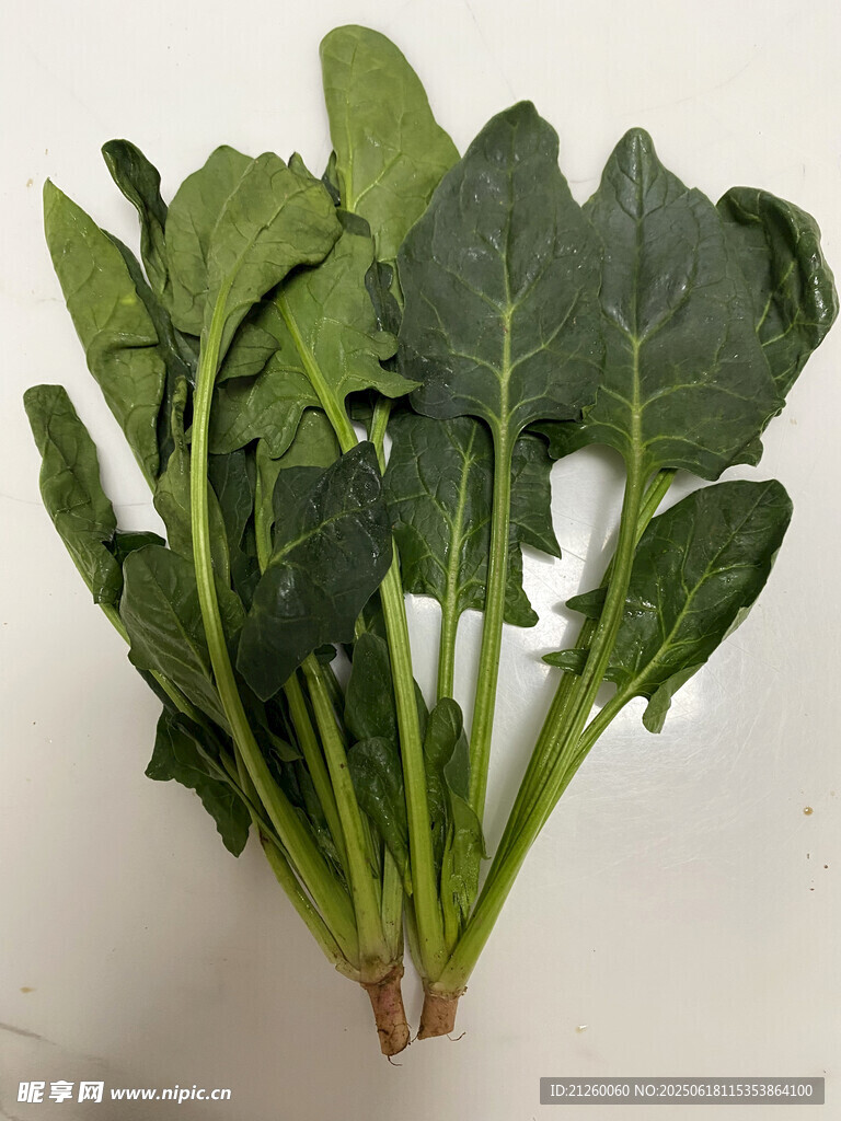 新鮮綠葉蔬菜