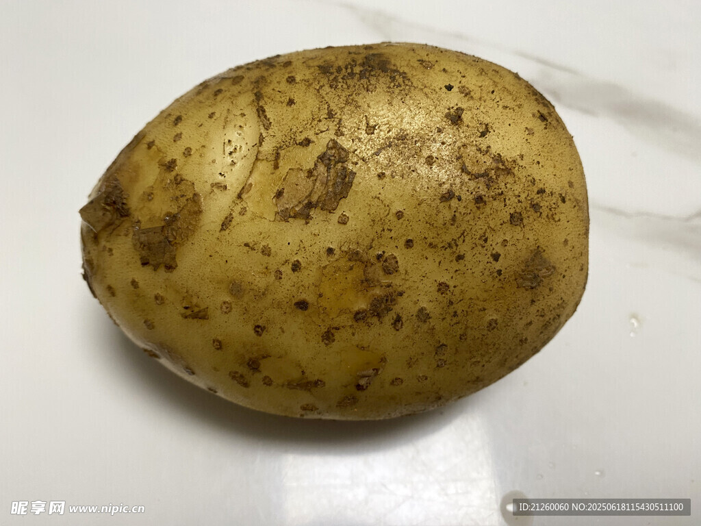 新鮮土豆特寫