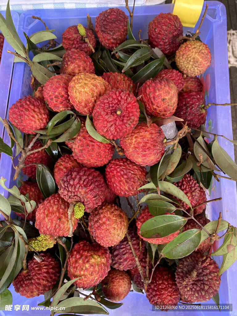 荔枝