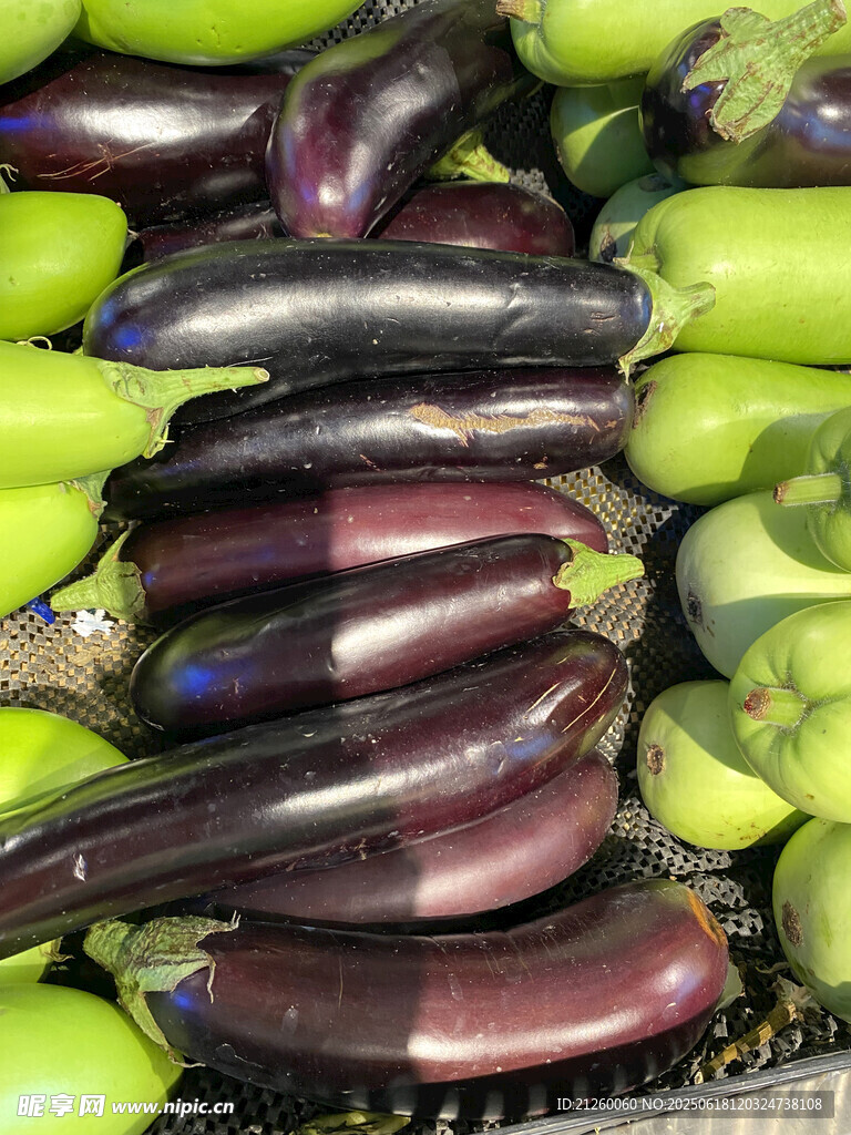 新鮮茄子
