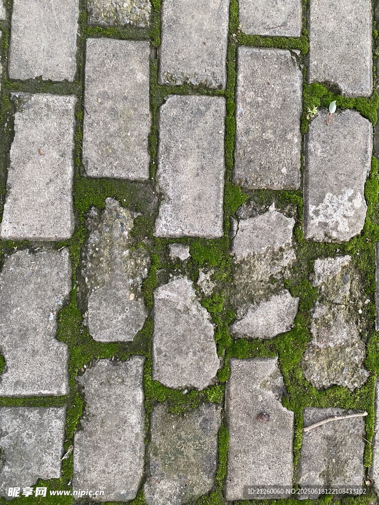 石板路紋理  縫隙間生青苔