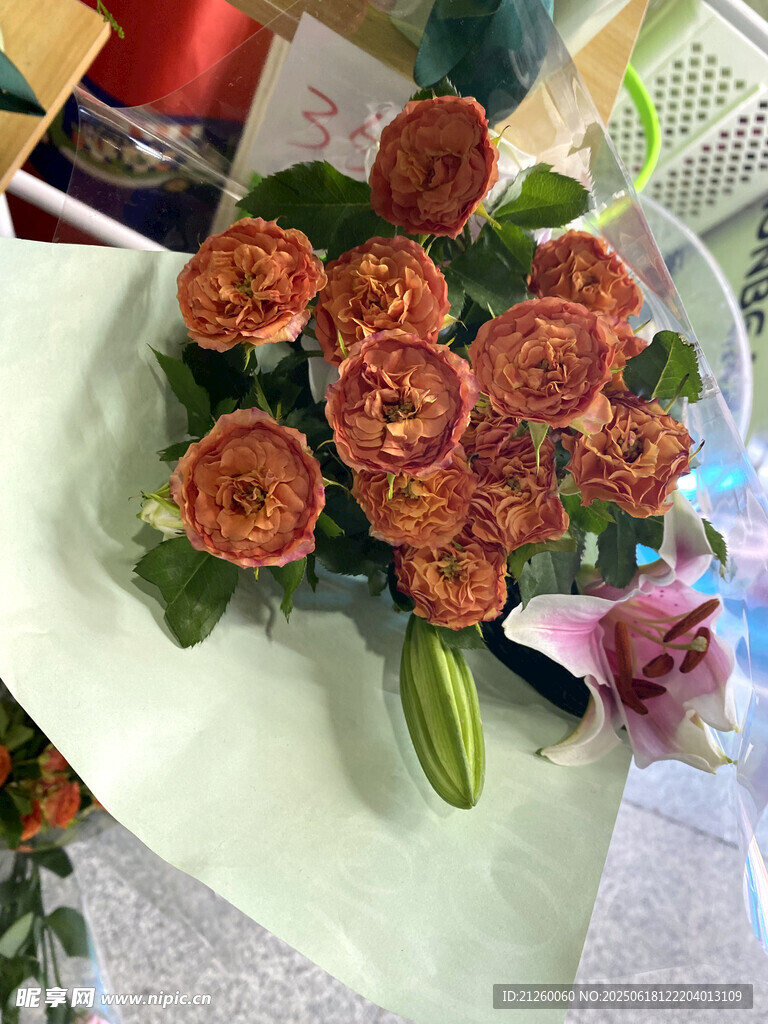 橙色月季花