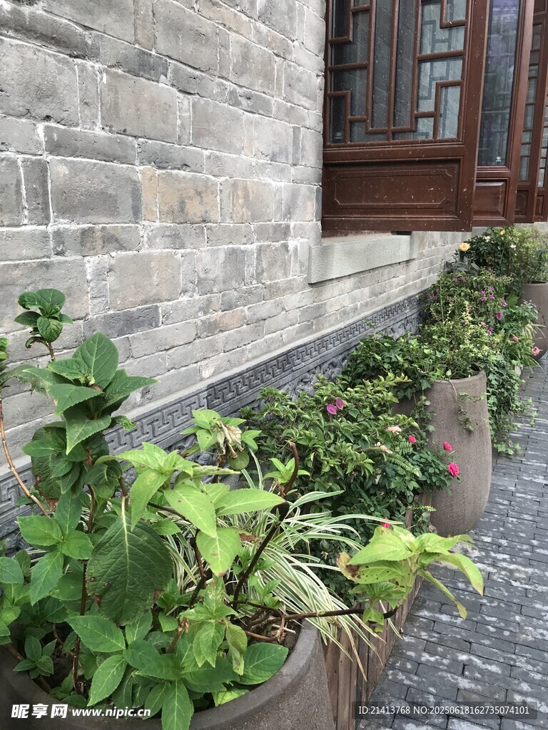 古墻邊的綠植盆栽景觀