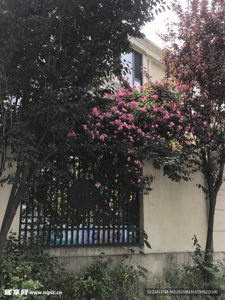 庭院繁花綠植環繞景致