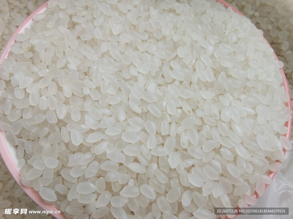 優質大米展示