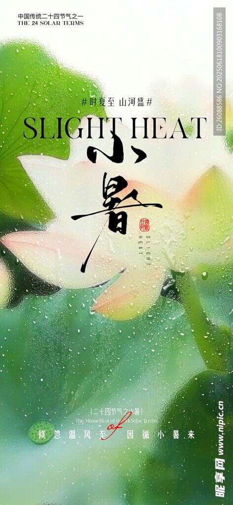 小暑清新荷花海報