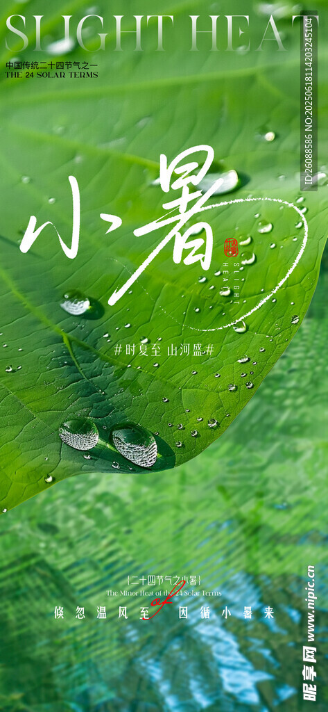小暑大暑荷花荷葉節氣海報