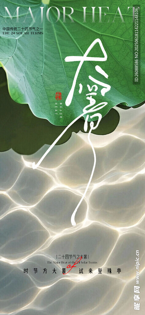 小暑大暑荷花荷葉節氣海報