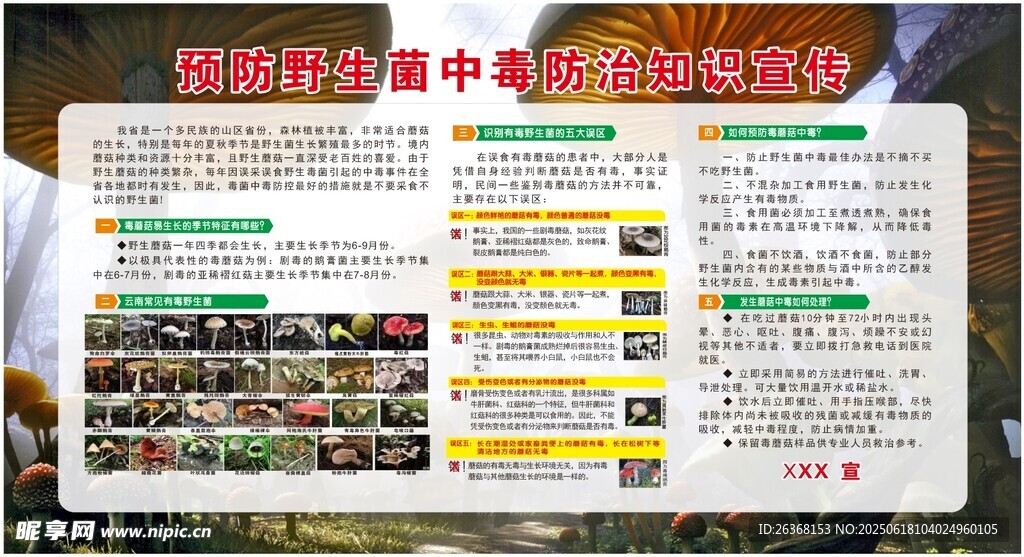 預防野生菌中毒宣傳欄
