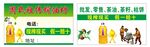 名片 蜂蜜  高檔