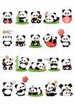 熊貓場(chǎng)景插畫