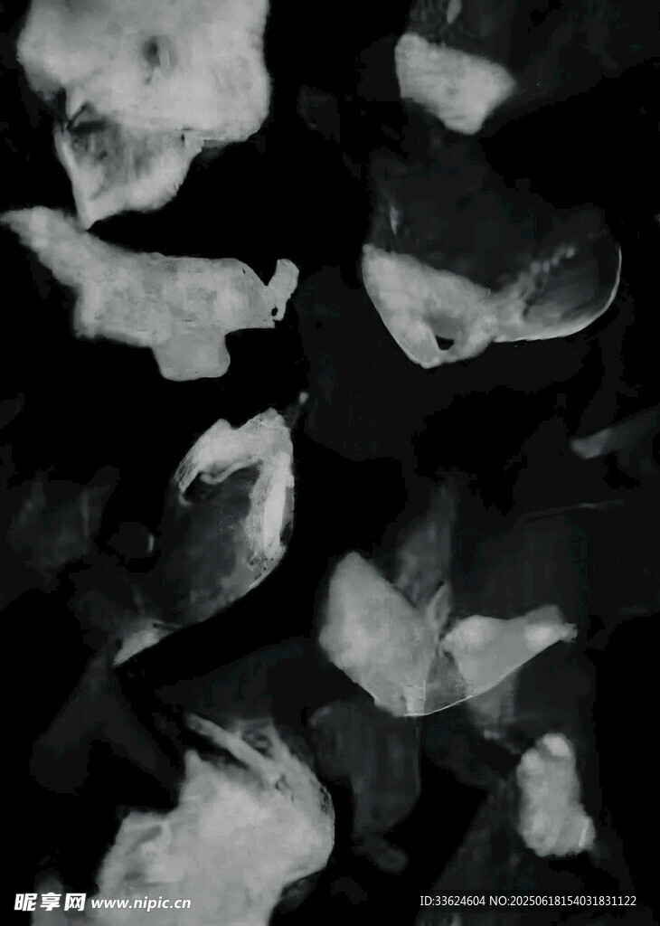 黑白抽象花瓣飄落畫面