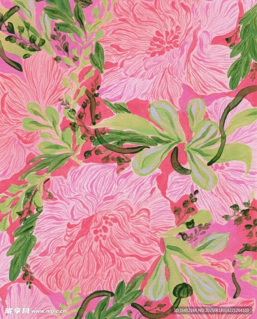 花卉插畫