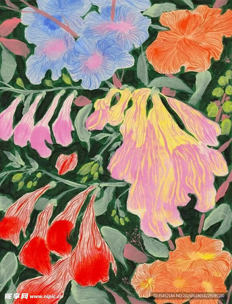 花卉插畫