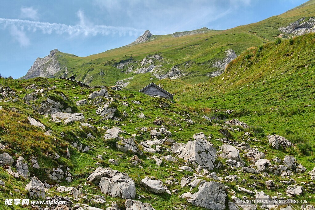 山間碎石與蔥郁草地景觀