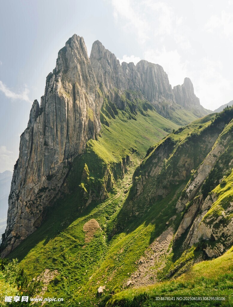 巍峨青山綠意盎然
