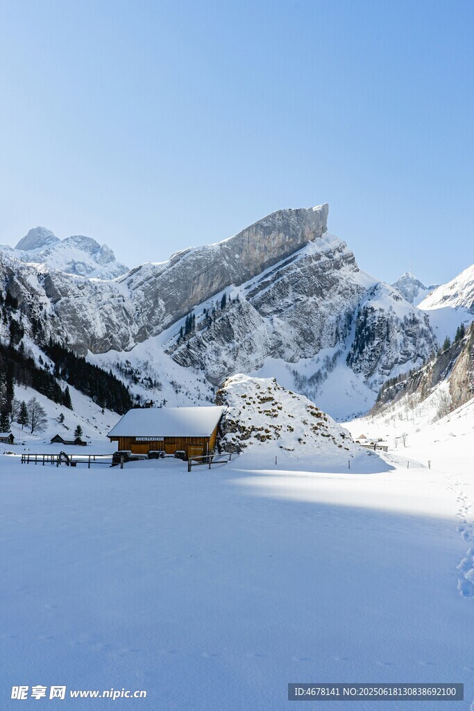 雪山下的靜謐雪地風光