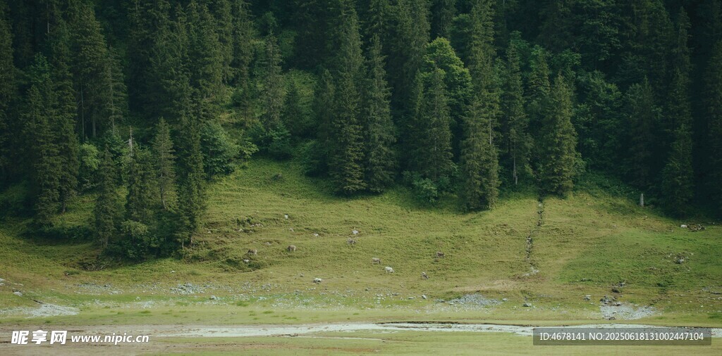 山林草地自然美景