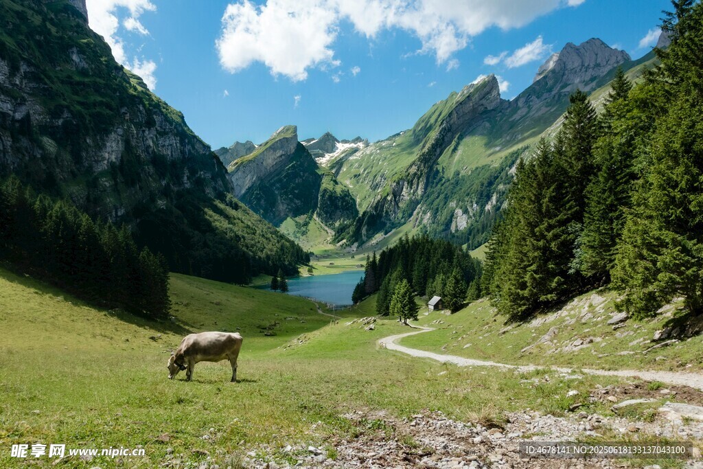 山間牧場景色