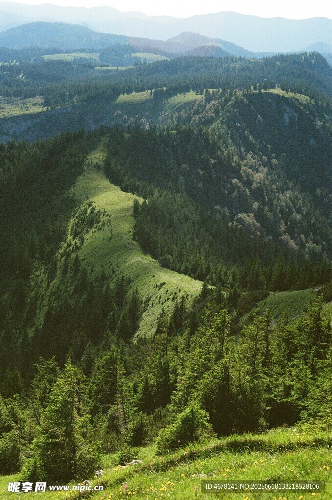 山巒綠野間的自然美景