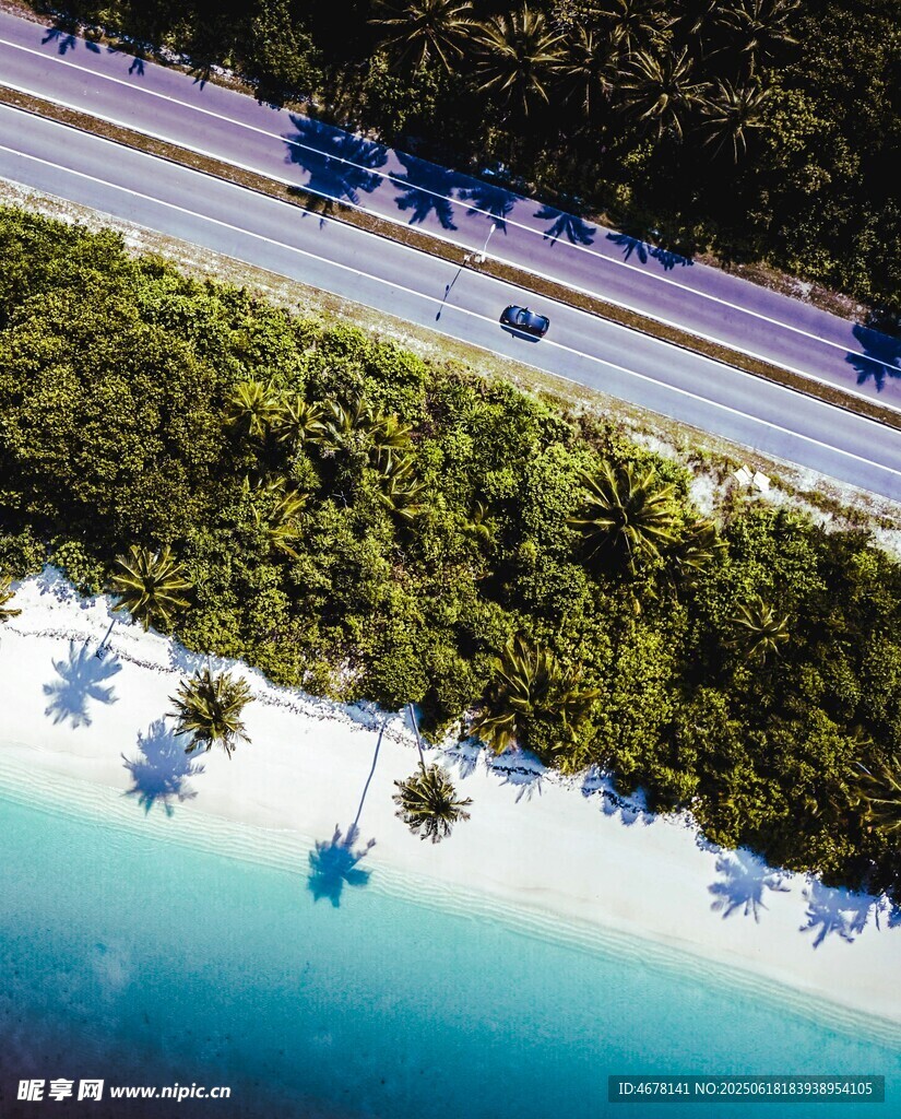 俯瞰海濱公路與椰林海景