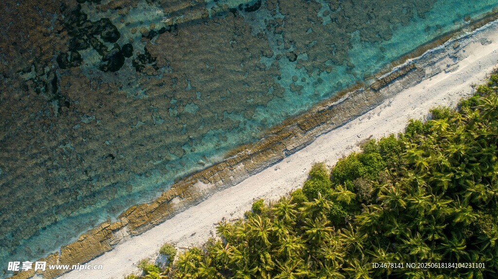 俯瞰海岸邊的翠綠植被與海水