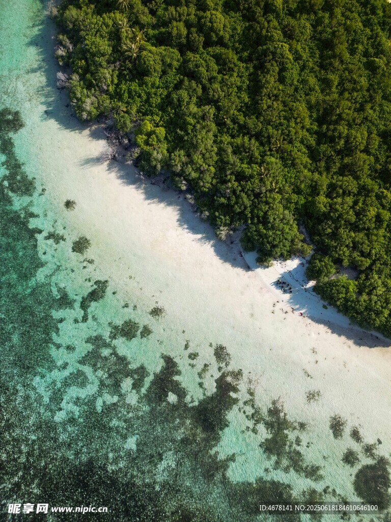 海島白沙與翠綠植被景觀