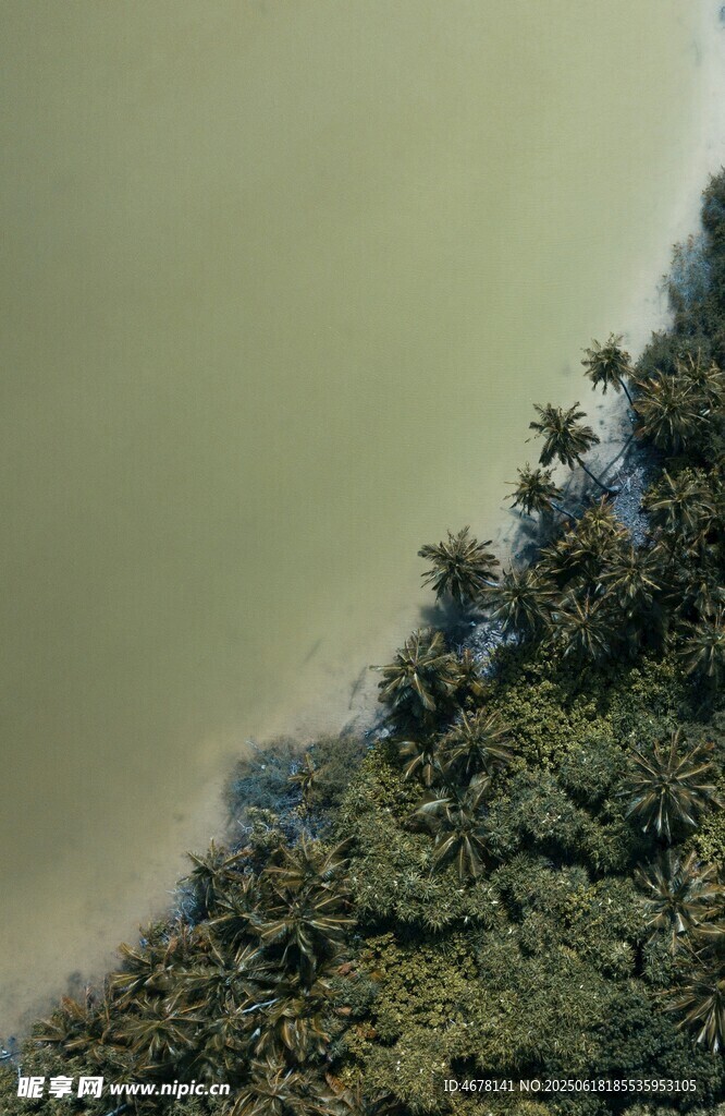 俯瞰綠樹環繞的水域