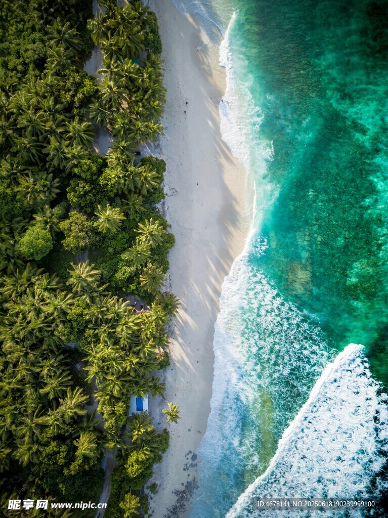 海岸綠植與碧藍(lán)海水景觀