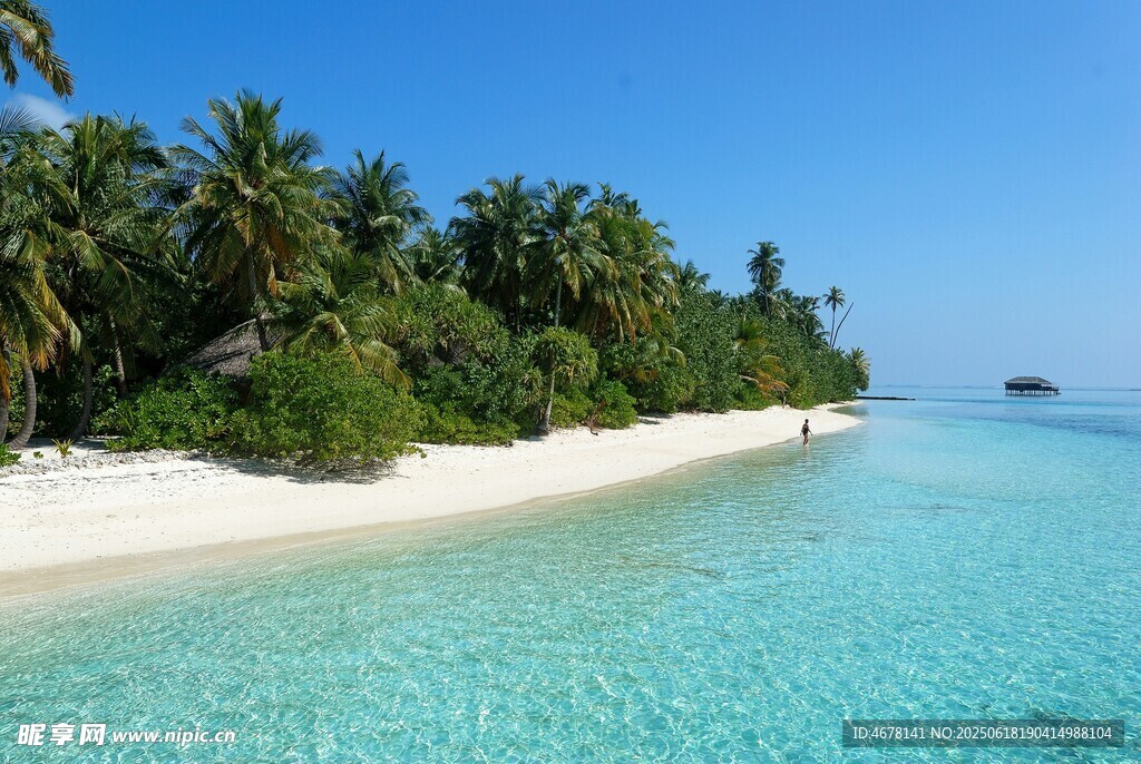 熱帶海島美麗沙灘海景
