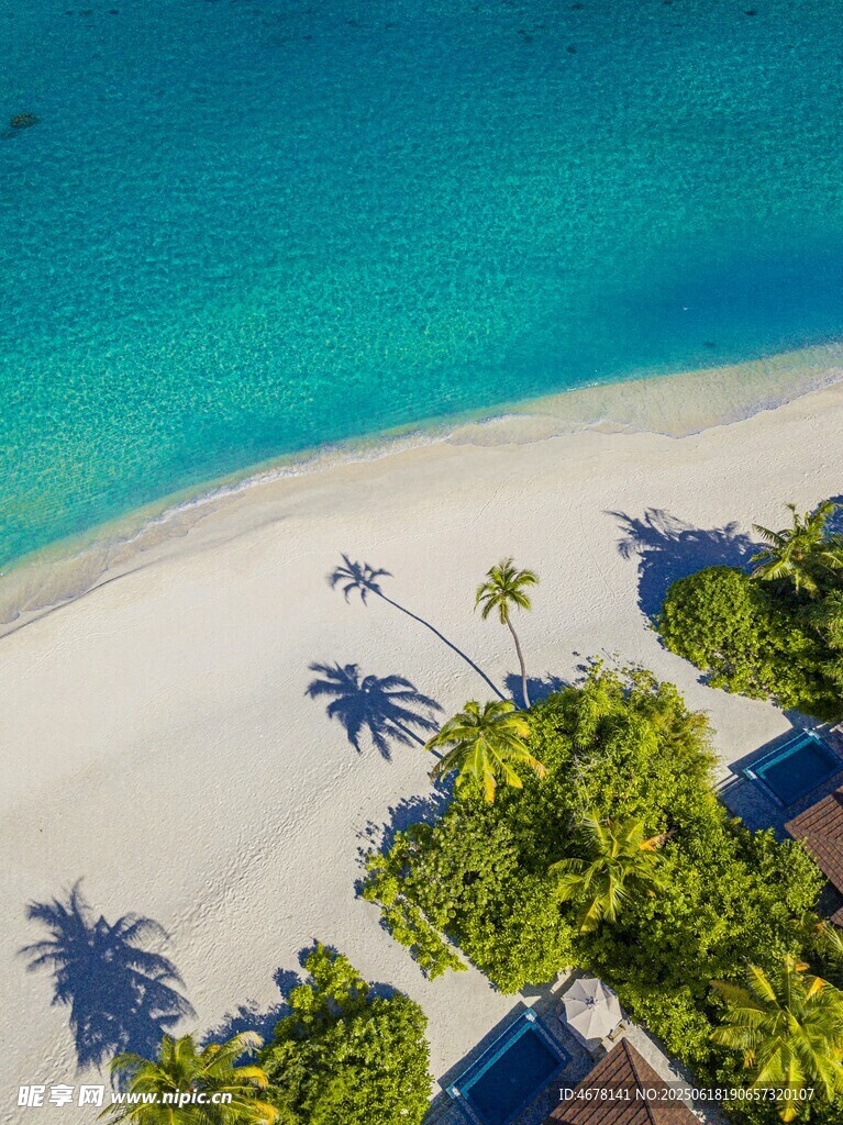 美麗海島沙灘與棕櫚樹