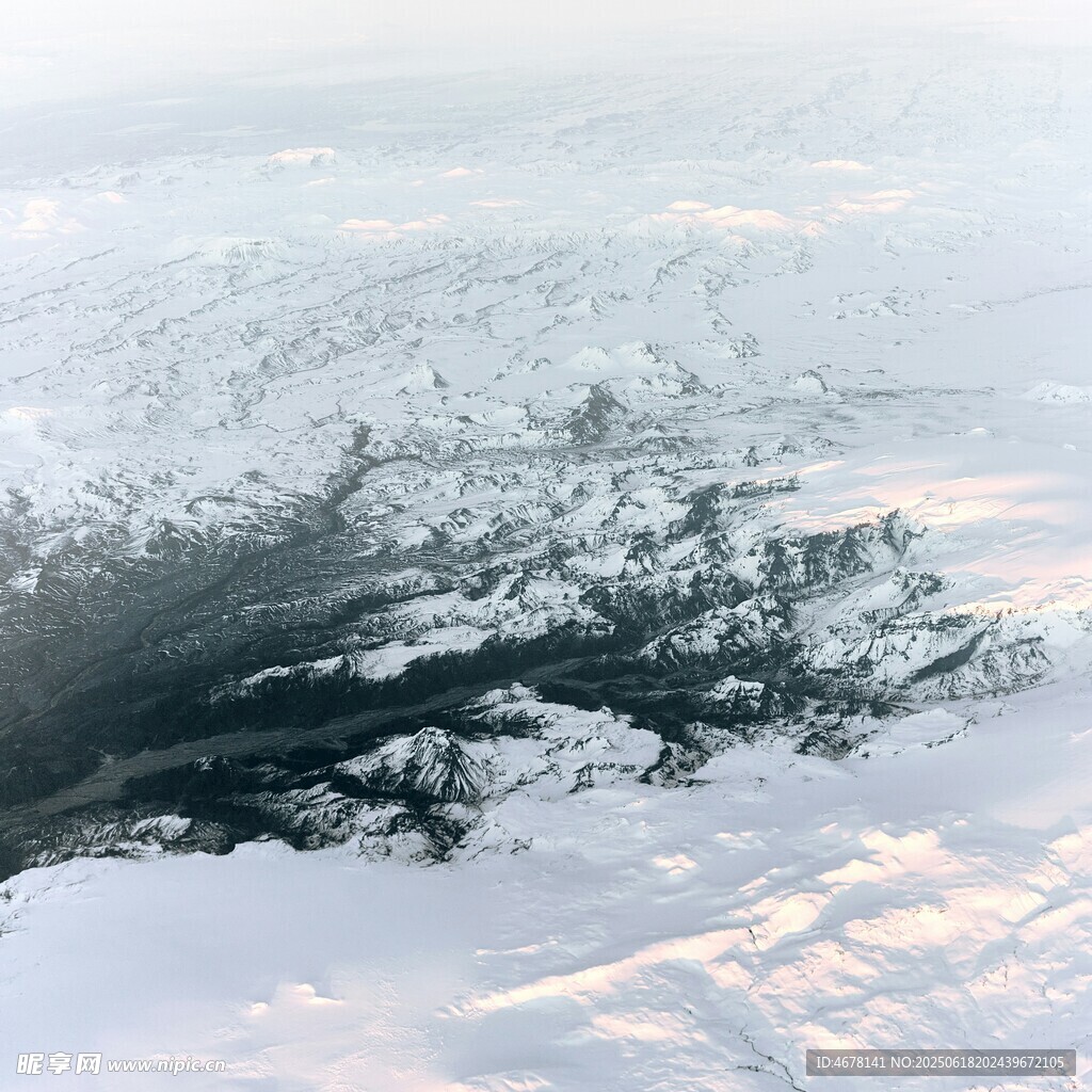 冬日樹枝覆雪景象