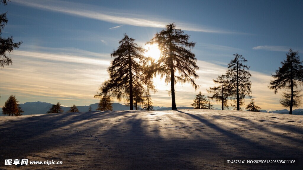 冬日雪林陽光灑落美景
