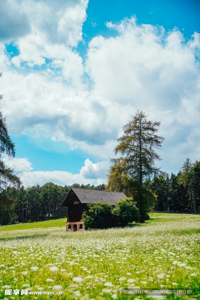 田園草地中的靜謐小屋
