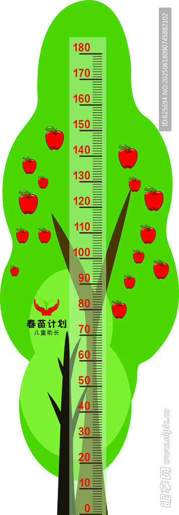 身高表