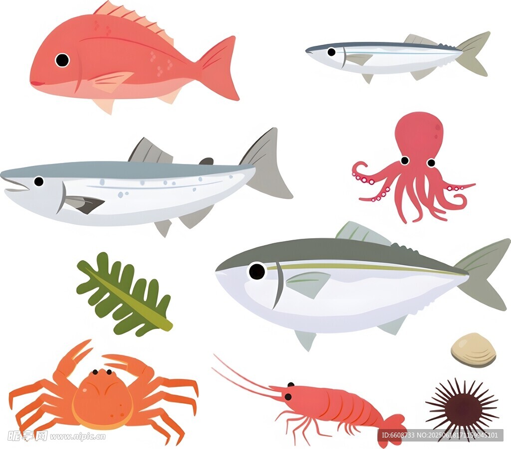 海洋生物集合