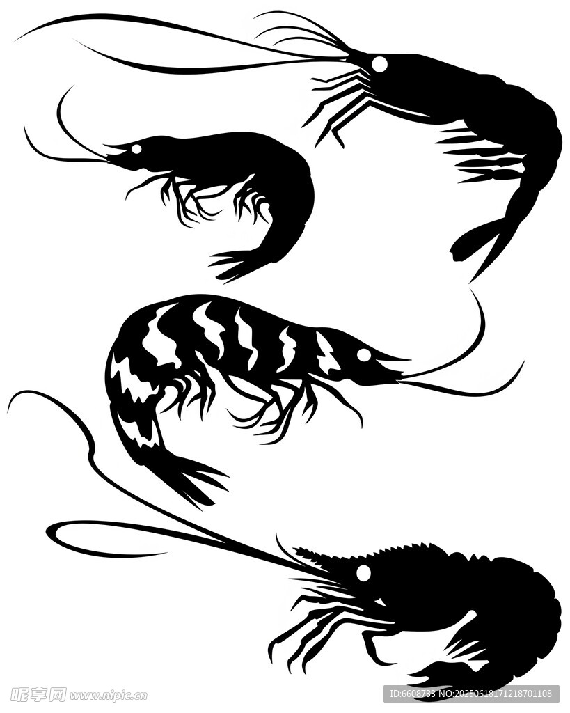 三只蝦的簡(jiǎn)約黑白插畫