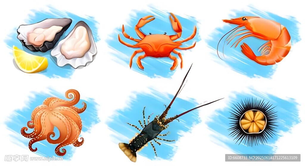 海洋生物與釣魚工具集合