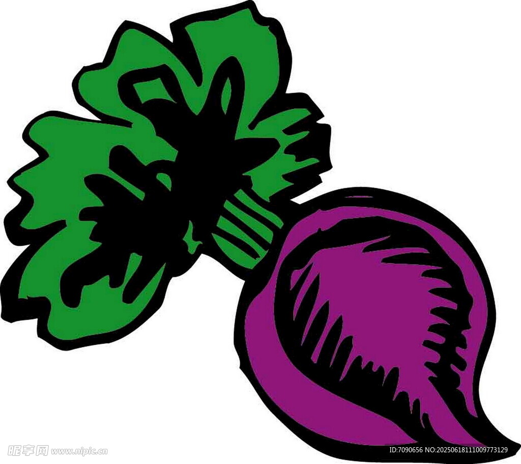 紫色甜菜插畫