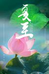 二十四節(jié)氣夏至荷花海報(bào)