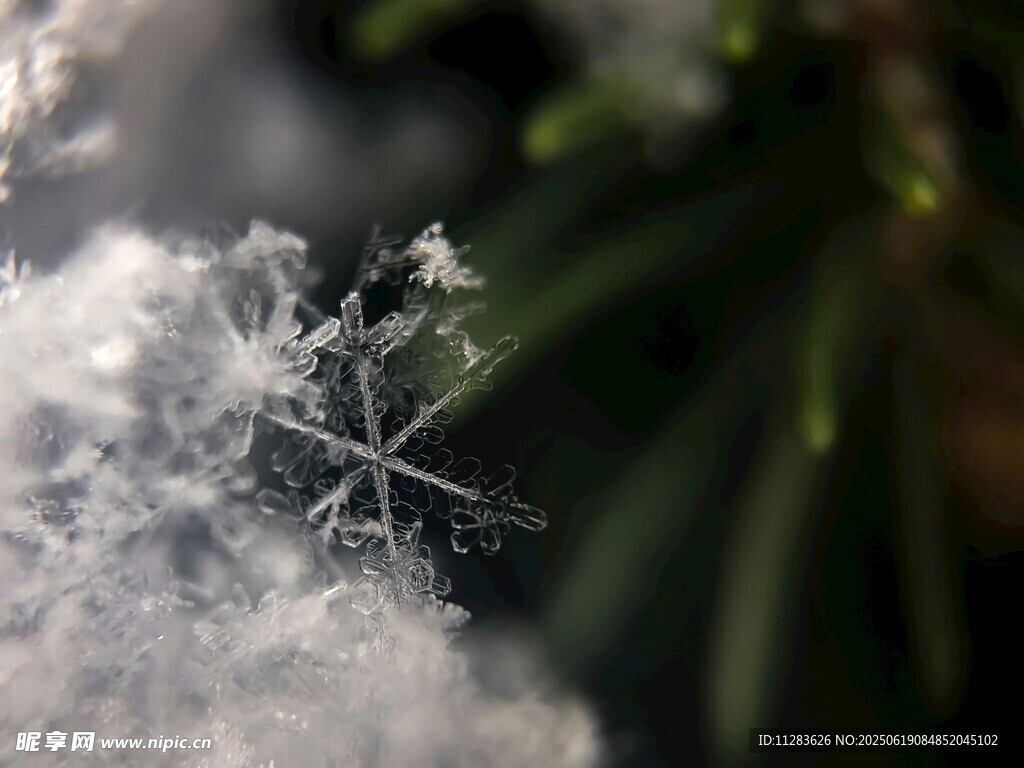微距下的精致雪花