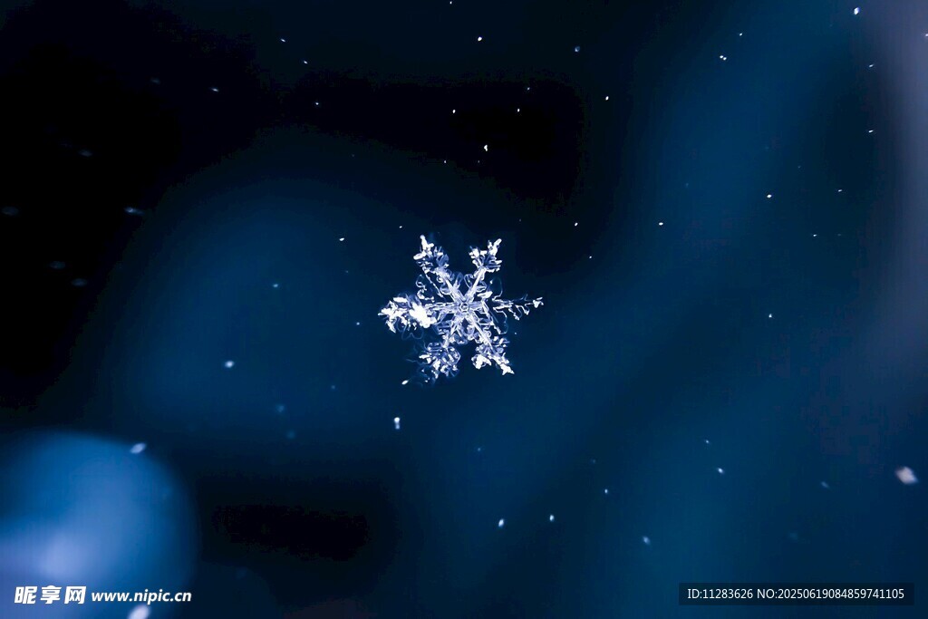 夜空中的晶瑩雪花