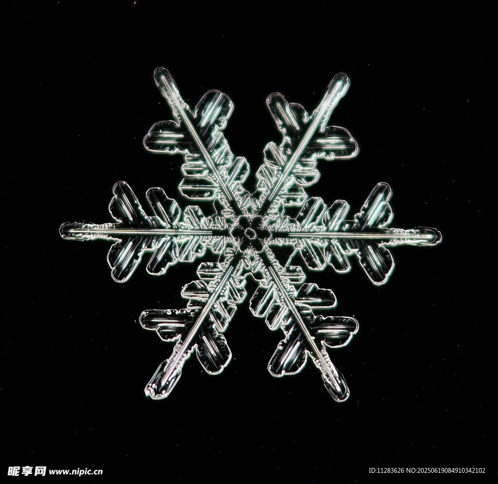 精致雪花圖案