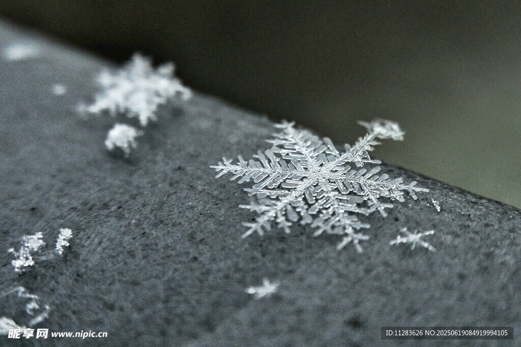 微距下的精美雪花
