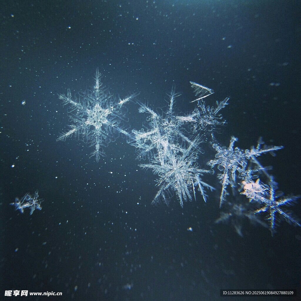 夢幻雪花在深色背景中飛舞