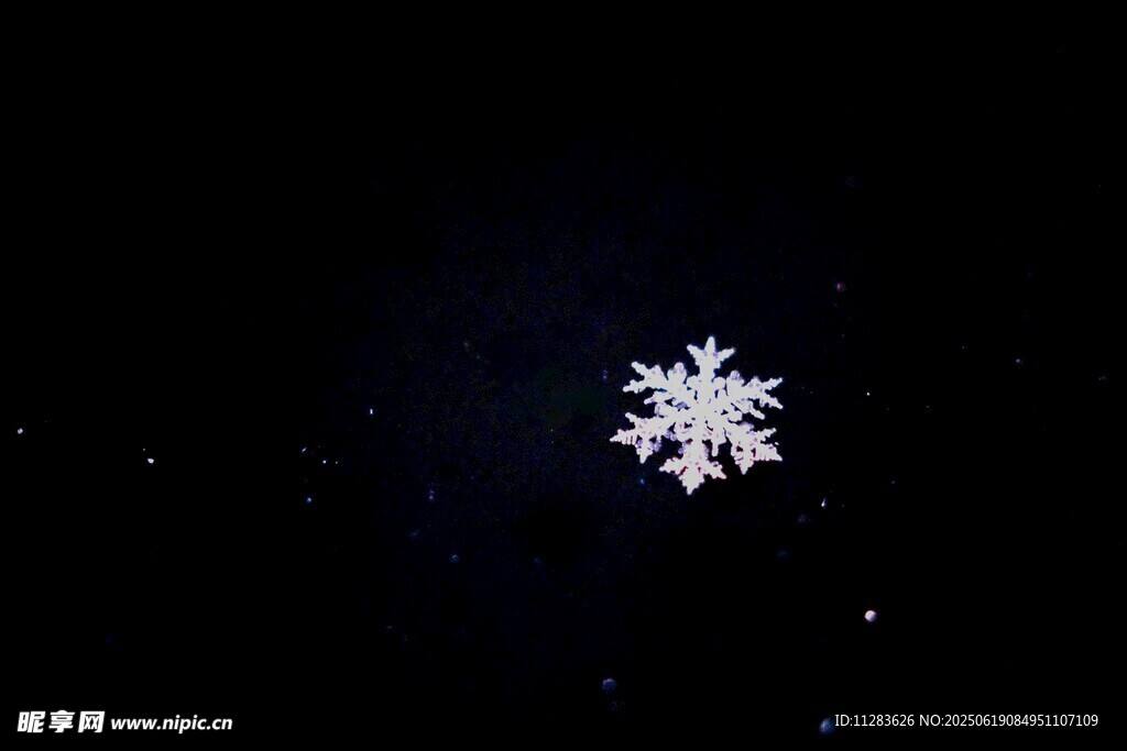 夜空中的唯美雪花