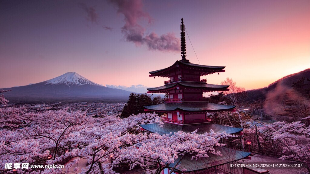 富士山下櫻花與古寺美景